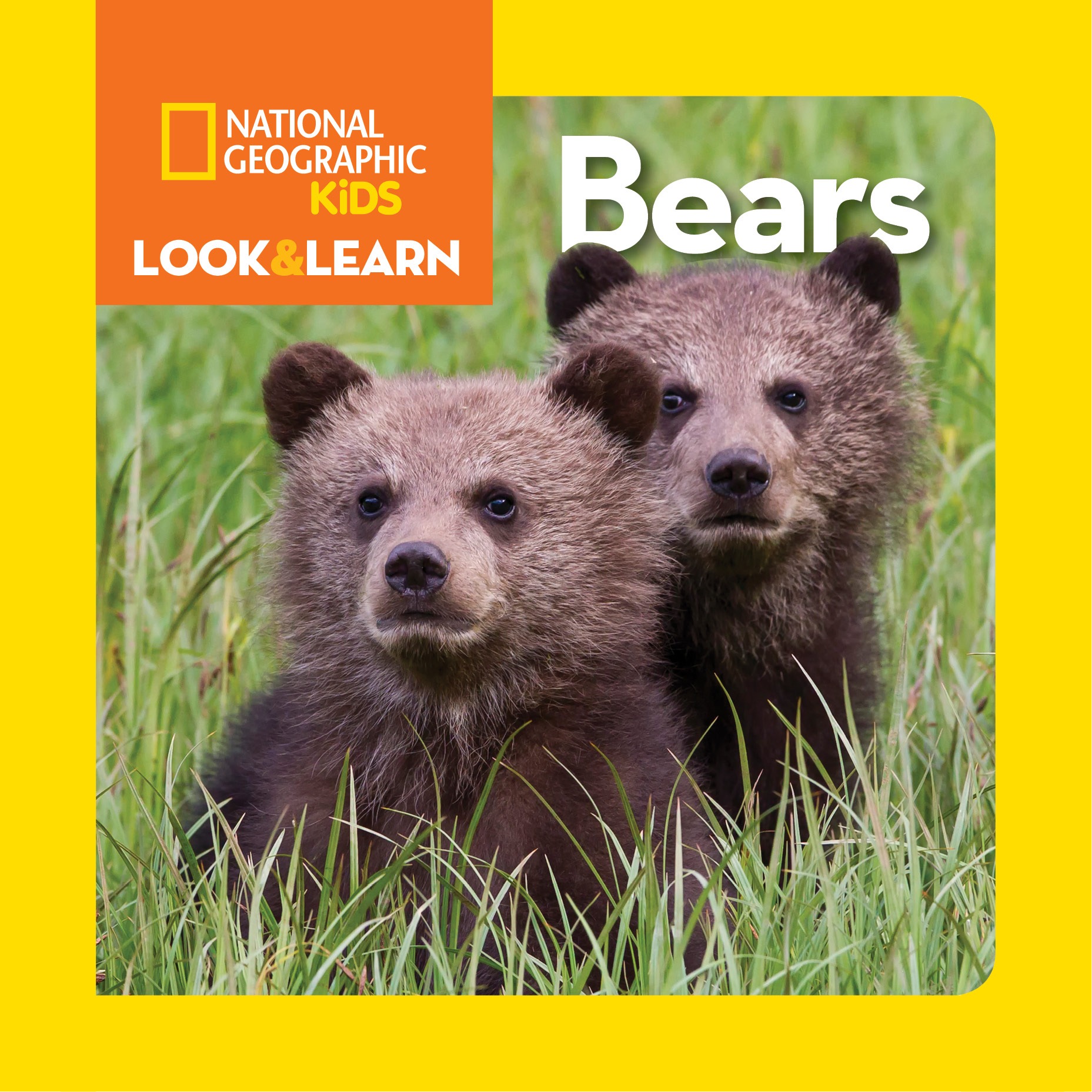 National Geographic Kids Look and Learn: Farm Animals Printables