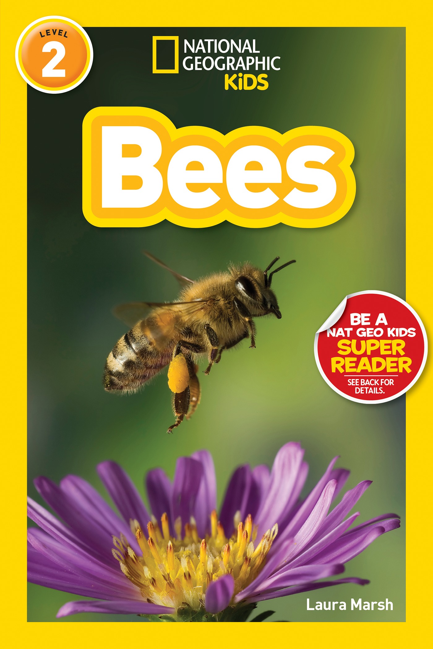 National Geographic Readers Bees Printables, Classroom Activities