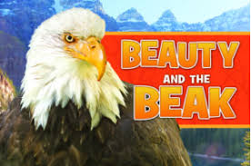 15  Beauty and the beak read aloud for Trend 2021
