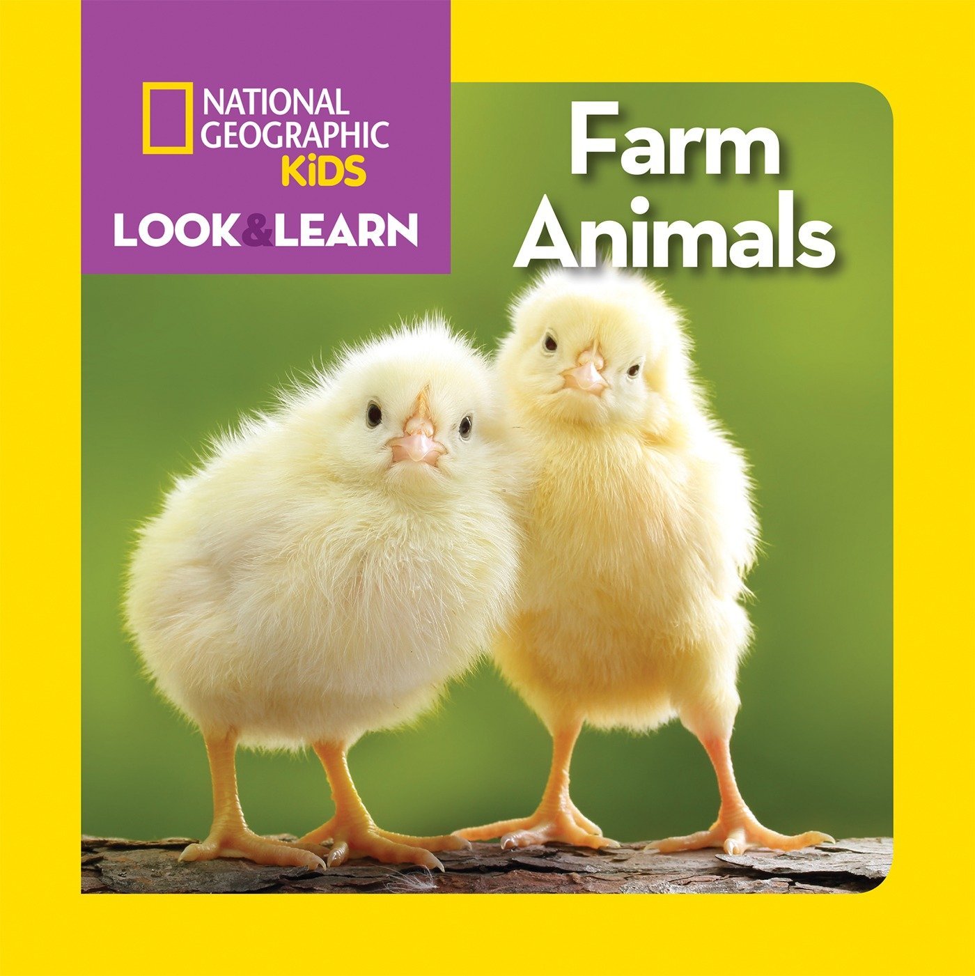 national-geographic-kids-look-and-learn-farm-animals-printables