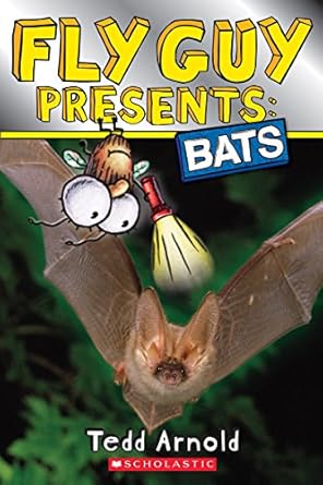 FlyGuyBATS.jpg